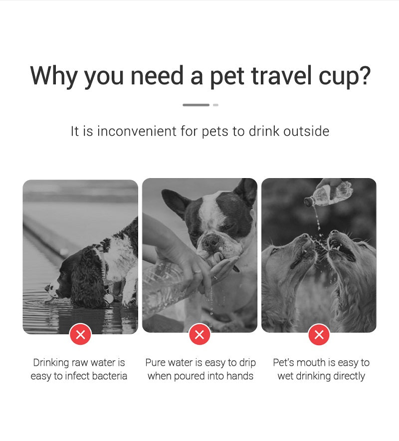 Leakproof Pet Water Bottle