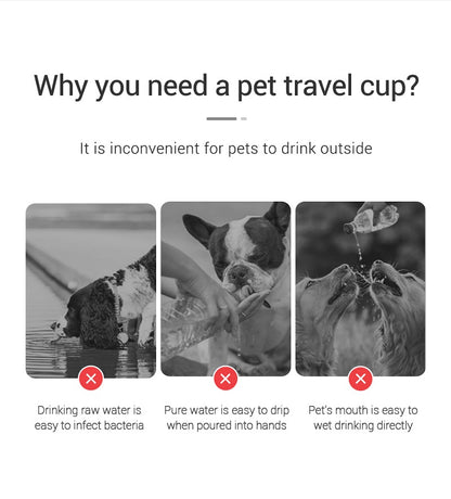 Leakproof Pet Water Bottle