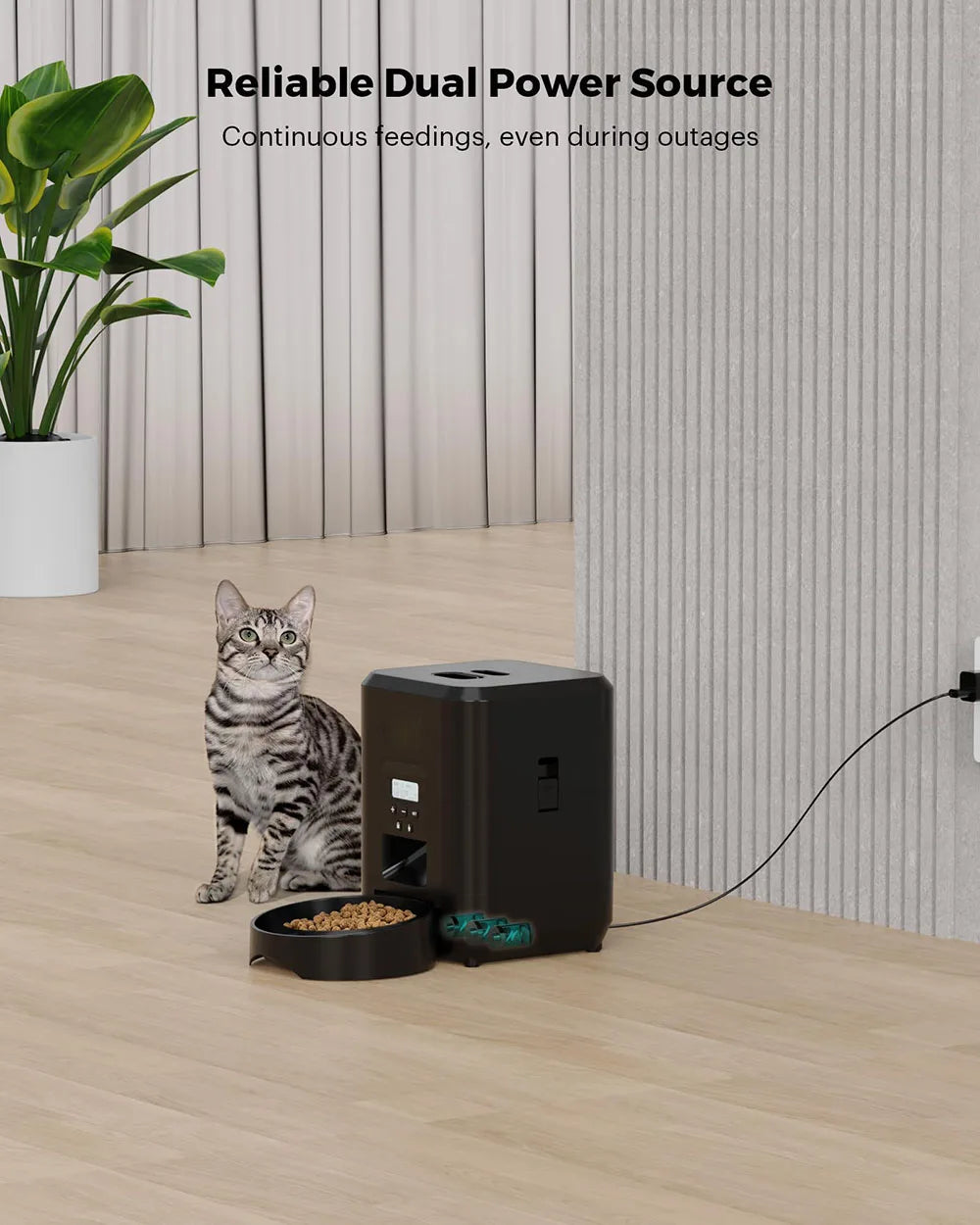 Smart Auto Pet Feeder