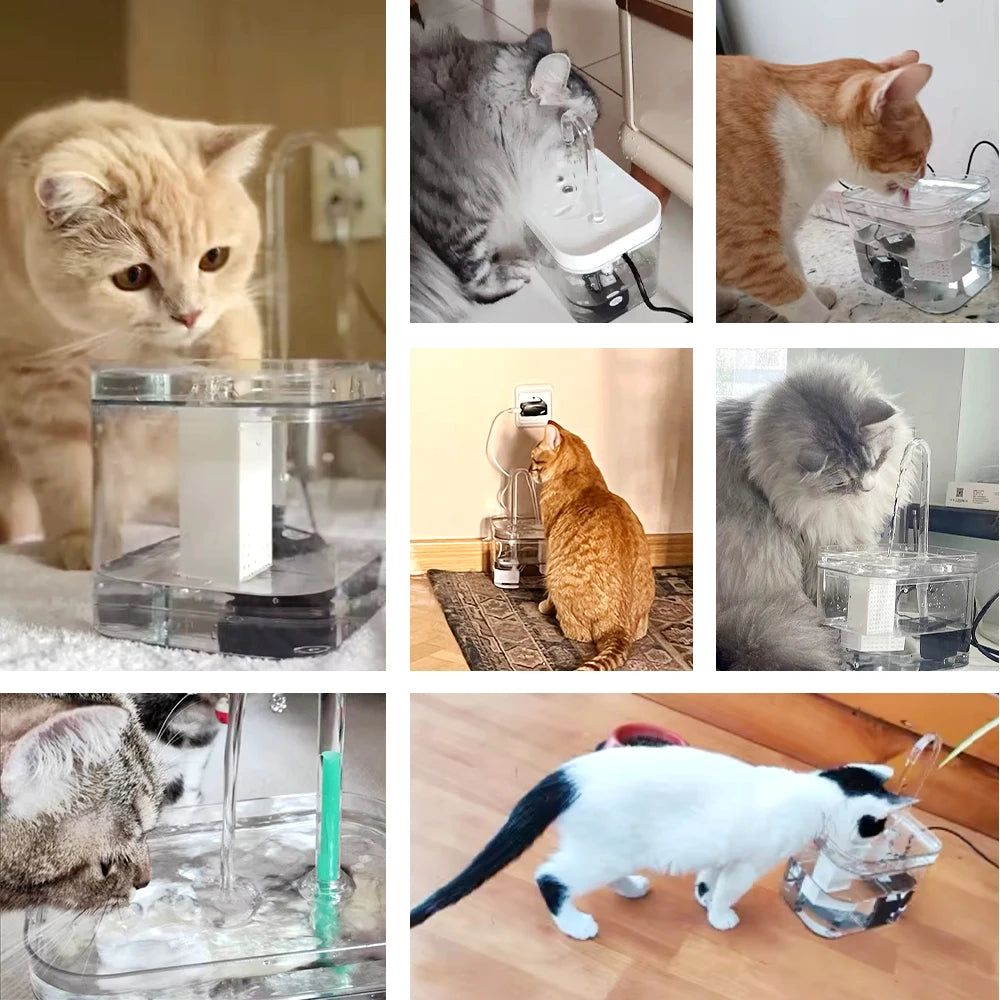 Smart Filter Cat Fountain