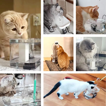 Smart Filter Cat Fountain