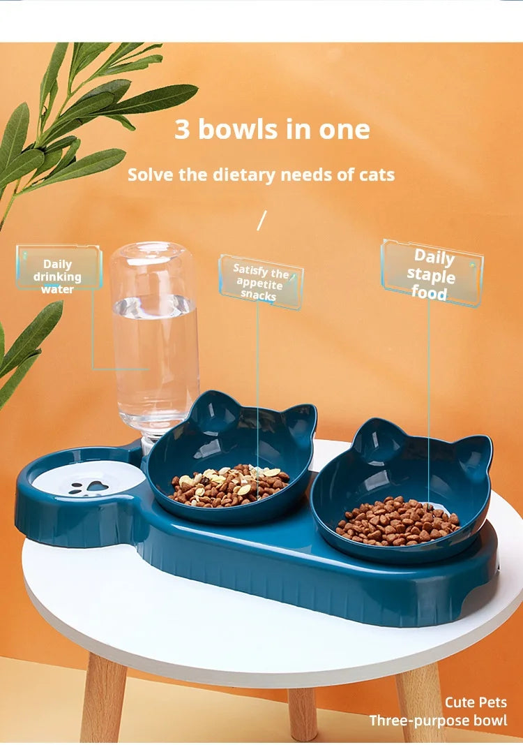 3-in-1 Tilted Pet Bowl