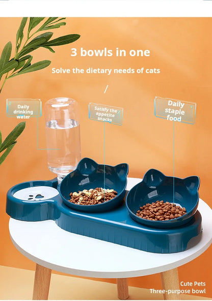 3-in-1 Tilted Pet Bowl