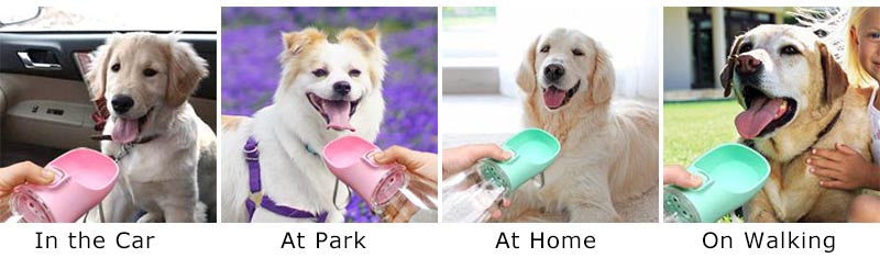 Leakproof Pet Water Bottle