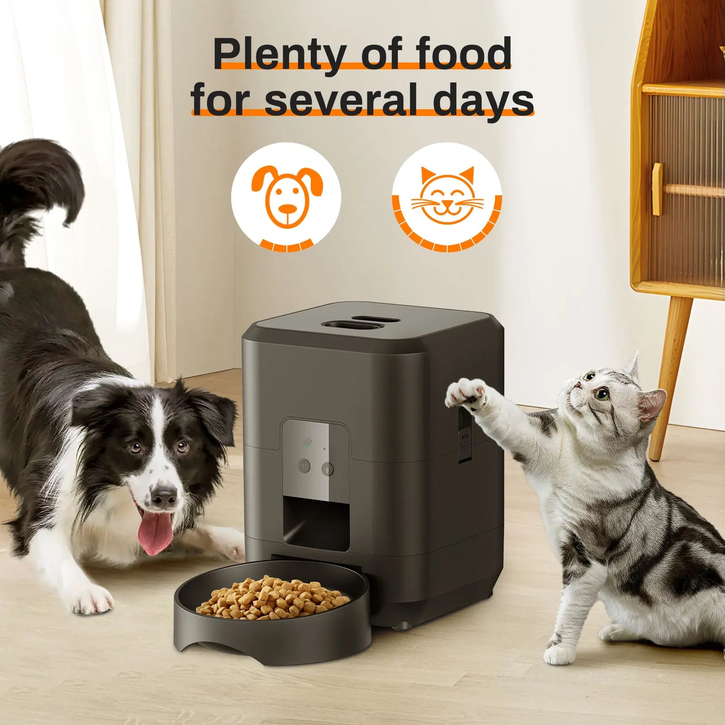 Smart Auto Pet Feeder